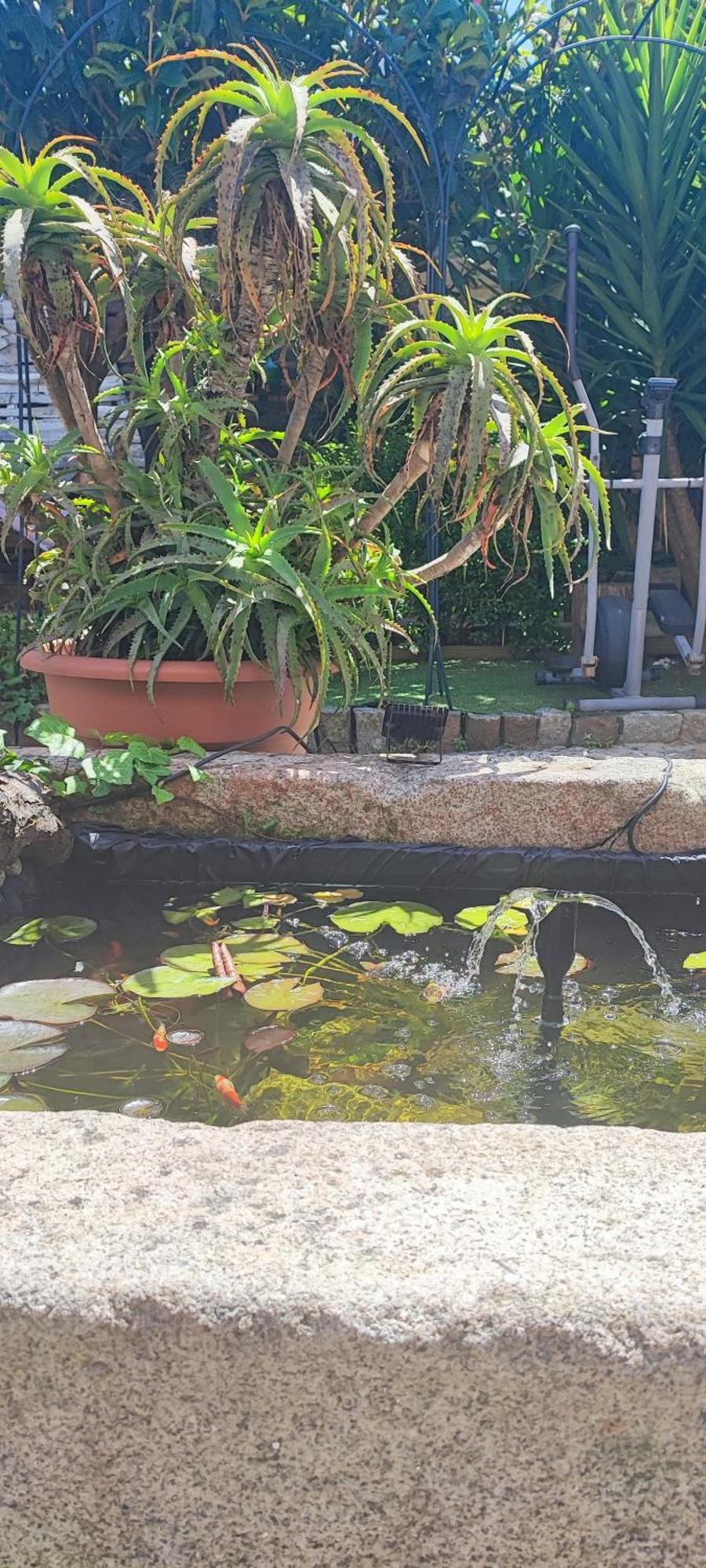 Willa Ruby Charm Houses 2 Al Porto Zewnętrze zdjęcie